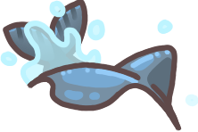 Splashing Shark